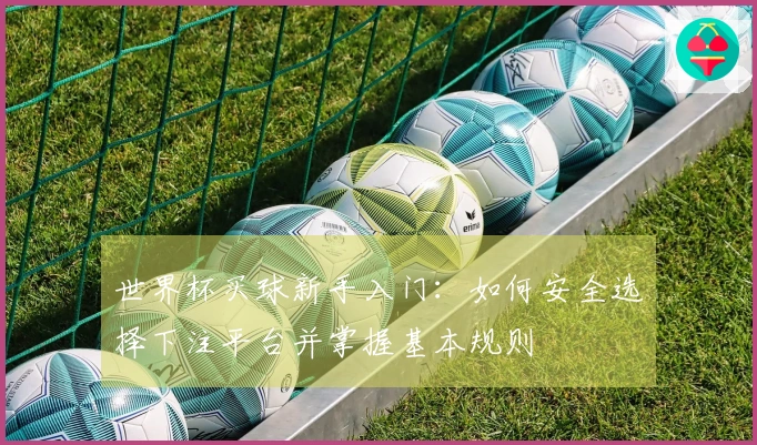 世界杯买球新手入门：如何安全选择下注平台并掌握基本规则