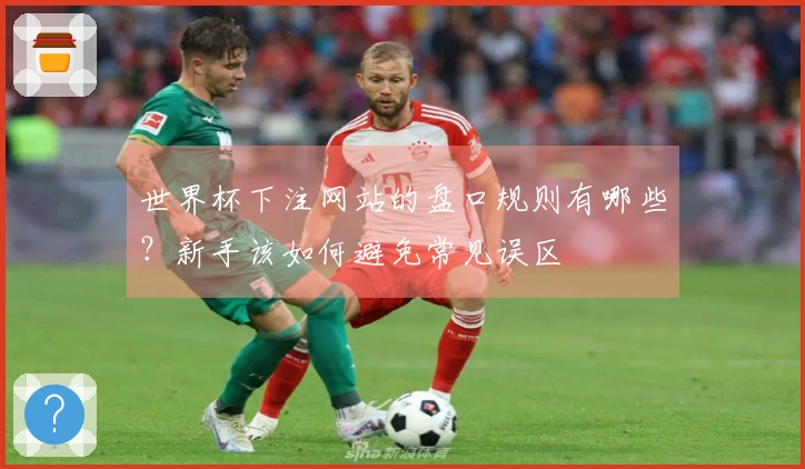 世界杯下注网站的盘口规则有哪些？新手该如何避免常见误区
