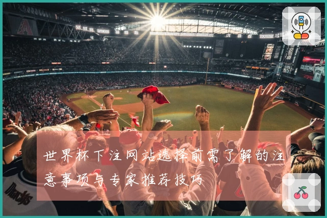 世界杯下注网站选择前需了解的注意事项与专家推荐技巧
