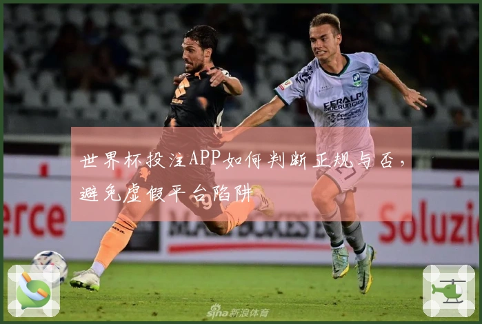 世界杯投注APP如何判断正规与否，避免虚假平台陷阱