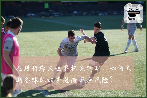在进行烽火世界杯竞猜时，如何判断各球队的夺冠概率和风险？