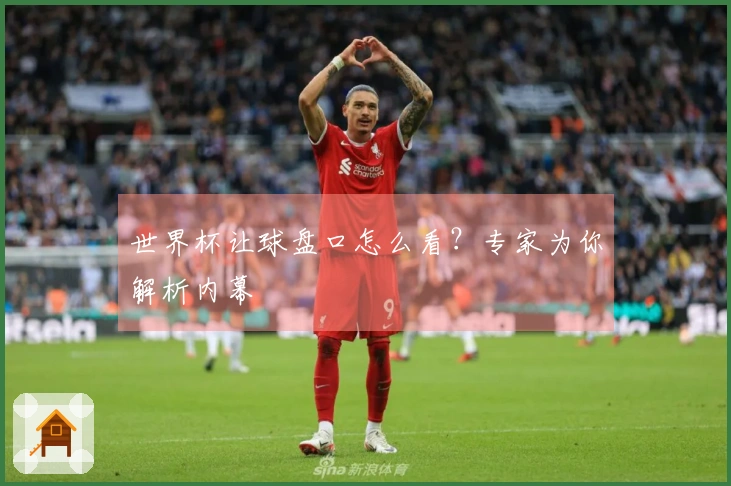 世界杯让球盘口怎么看？专家为你解析内幕