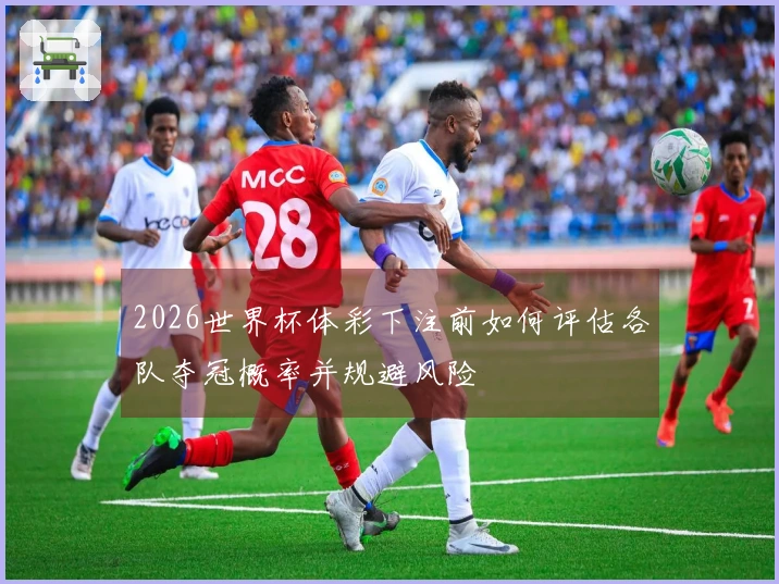 2026世界杯体彩下注前如何评估各队夺冠概率并规避风险
