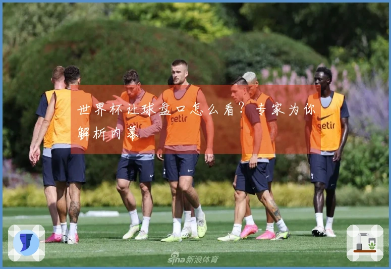 世界杯让球盘口怎么看？专家为你解析内幕