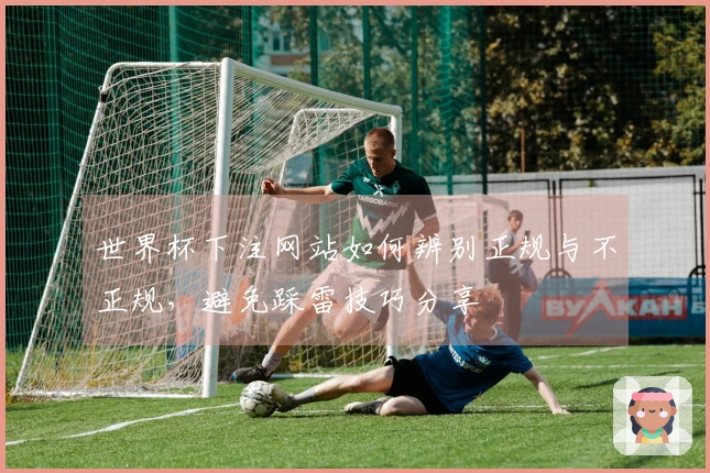 世界杯下注网站如何辨别正规与不正规，避免踩雷技巧分享
