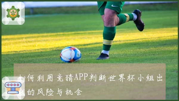 如何利用竞猜APP判断世界杯小组出线的风险与机会