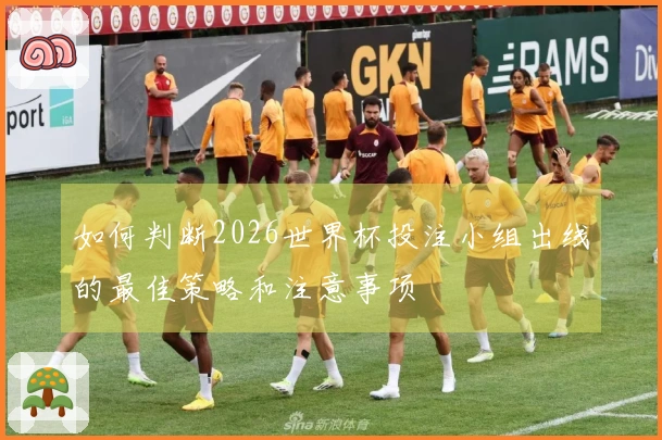 如何判断2026世界杯投注小组出线的最佳策略和注意事项