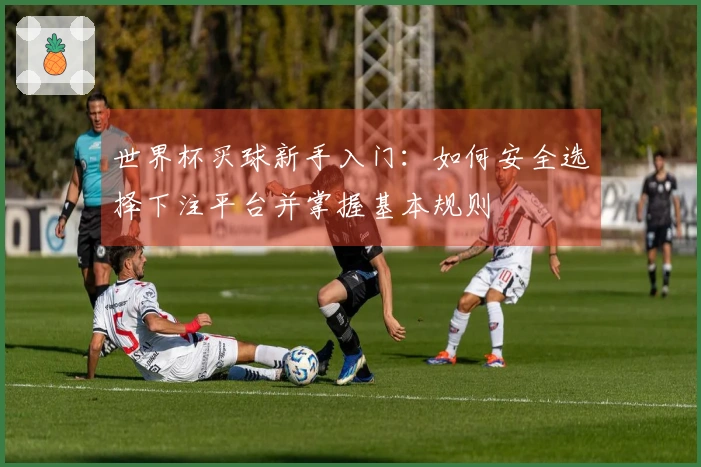 世界杯买球新手入门：如何安全选择下注平台并掌握基本规则