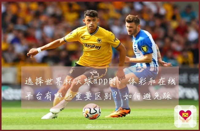 选择世界杯买球app时，体彩和在线平台有哪些重要区别？如何避免踩坑？