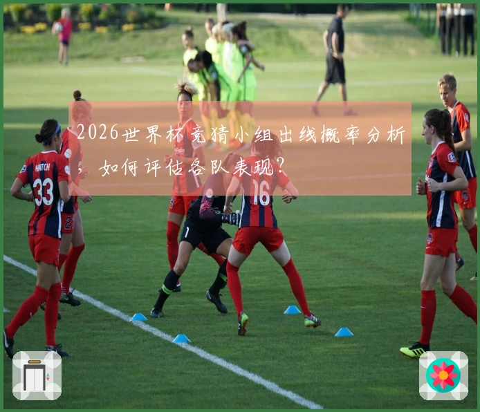 2026世界杯竞猜小组出线概率分析，如何评估各队表现？